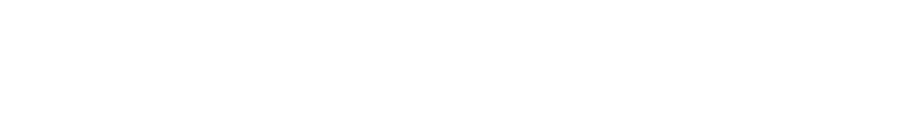 Hauptlogo weiß